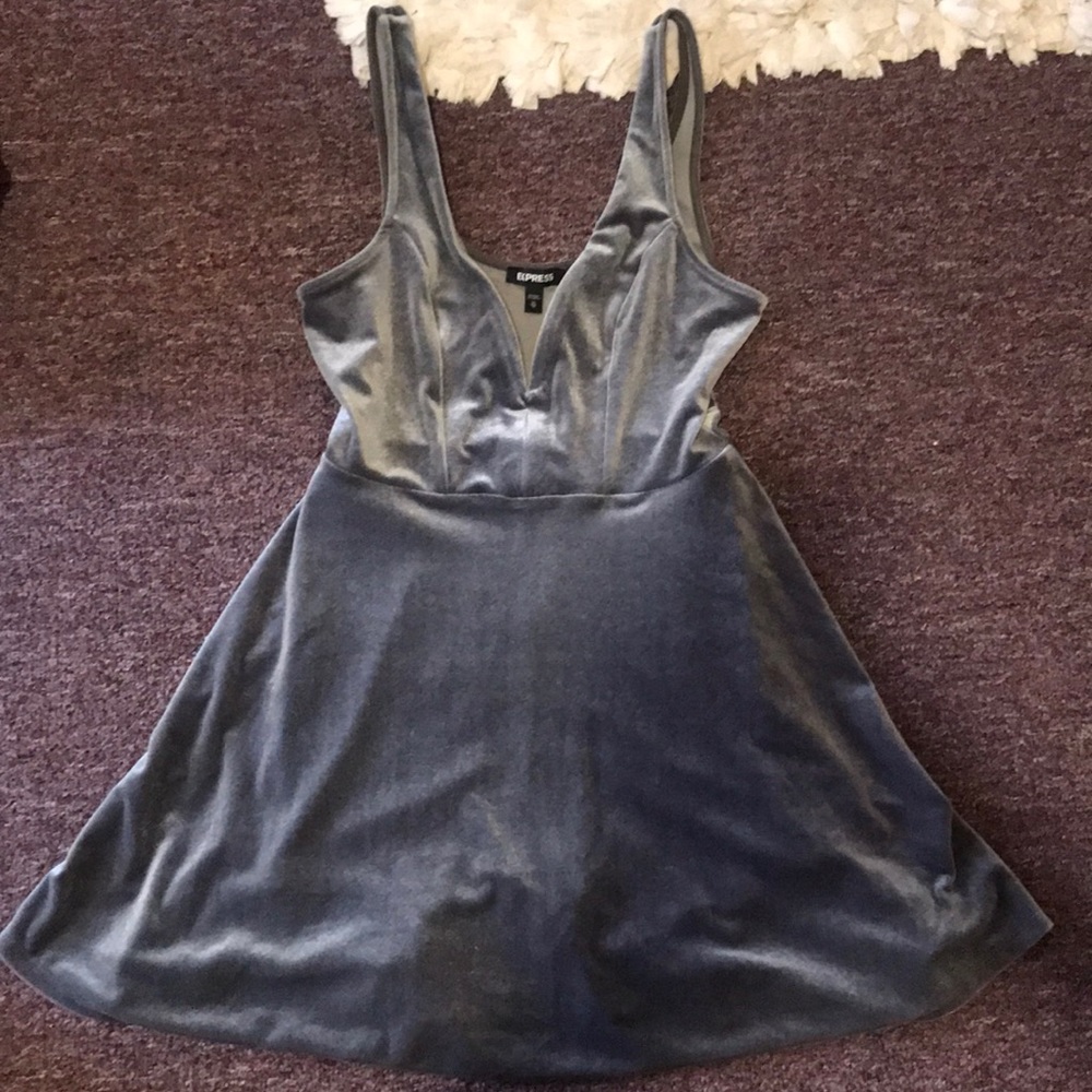 Express Gray Velvet Dress